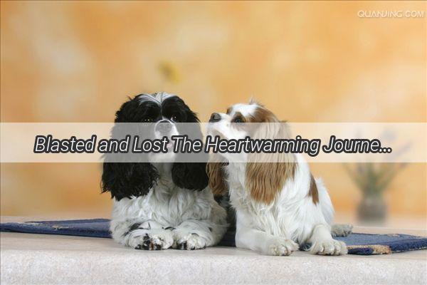 Blasted and Lost The Heartwarming Journey of a Brave Dogs Survival and Return Home